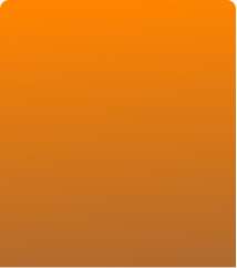 banner-bg-paramed